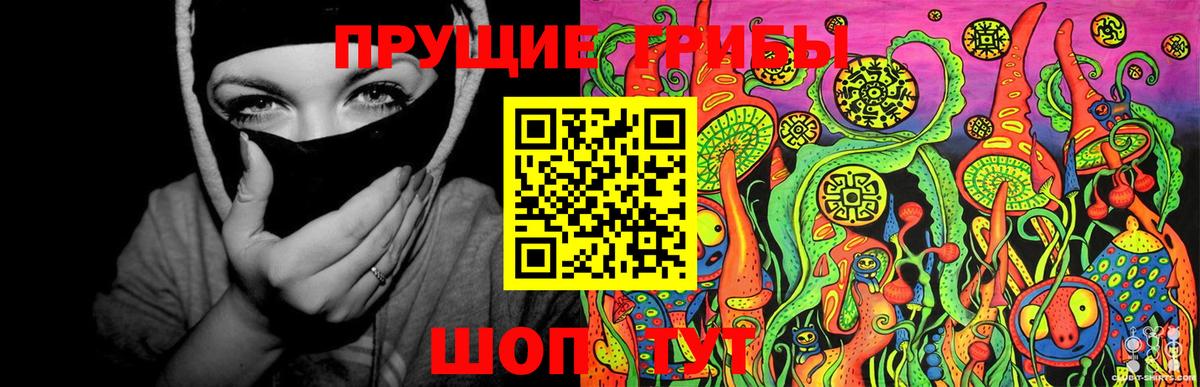Омск  купить наркотик  Галлюциногенные грибы прущие грибы  Вход с VPN  Псилоцибиновые грибы мухоморы 